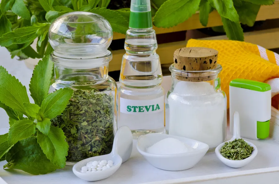 Stevia leaves, dried leaf and refined stevia sweetener